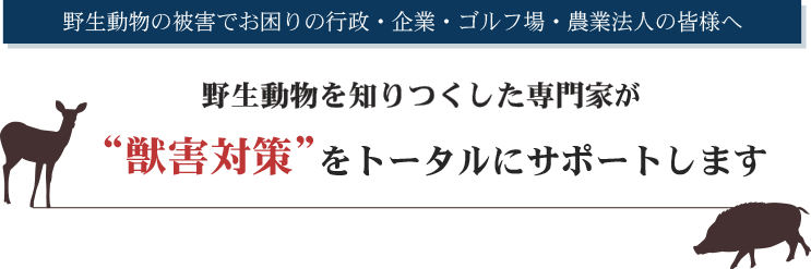 野生動物の被害でお困りの官公庁・企業・ゴルフ場・農業法人の皆様へ・野生動物を知りつくした専門家が”獣害対策”をトータルにサポートします