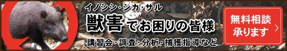 獣害対策・野生動物の調査および捕獲に関するコンサルティング
