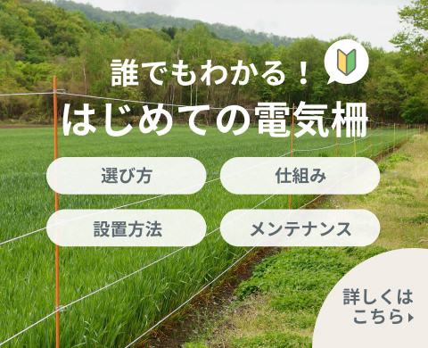 電気柵について詳しく解説。誰でもわかる！はじめての電気柵