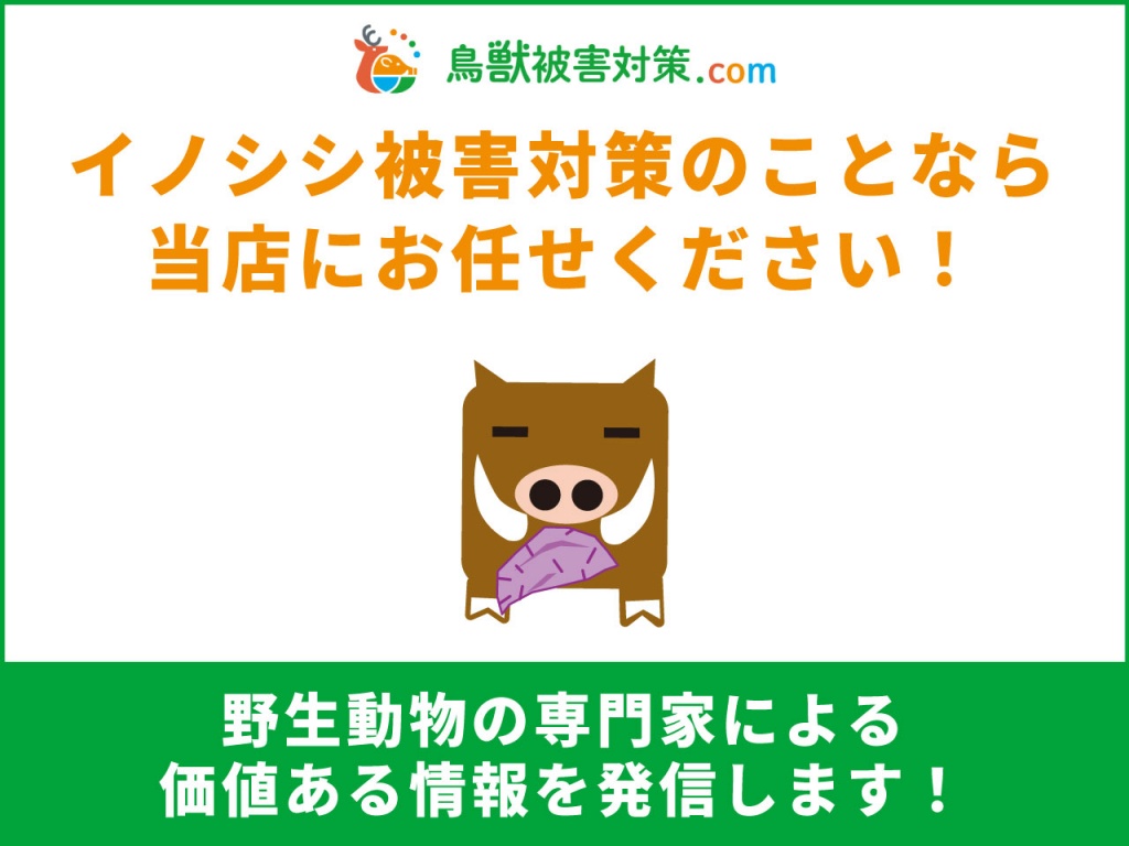 「イノシシ対策の知恵袋」開設のご挨拶