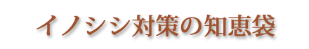 イノシシ対策の知恵袋
