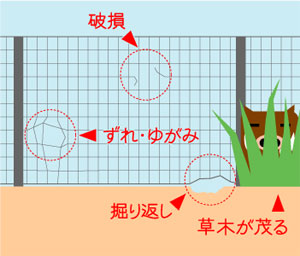 イノシシから狙われるすき間