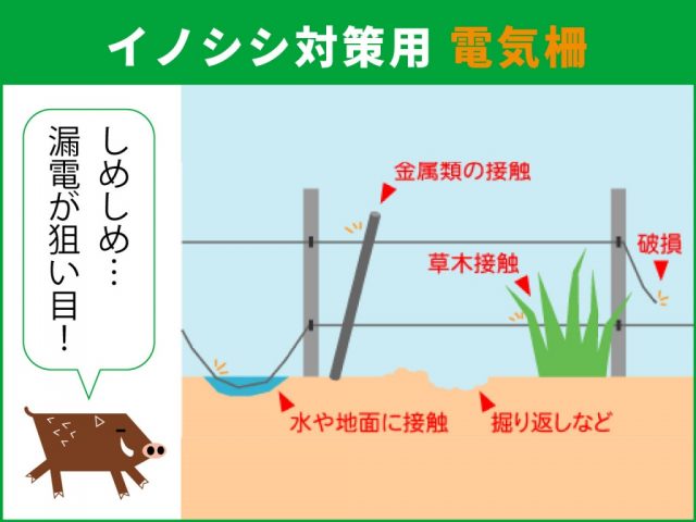 イノシシ対策_侵入を防ぐ【電気柵編】