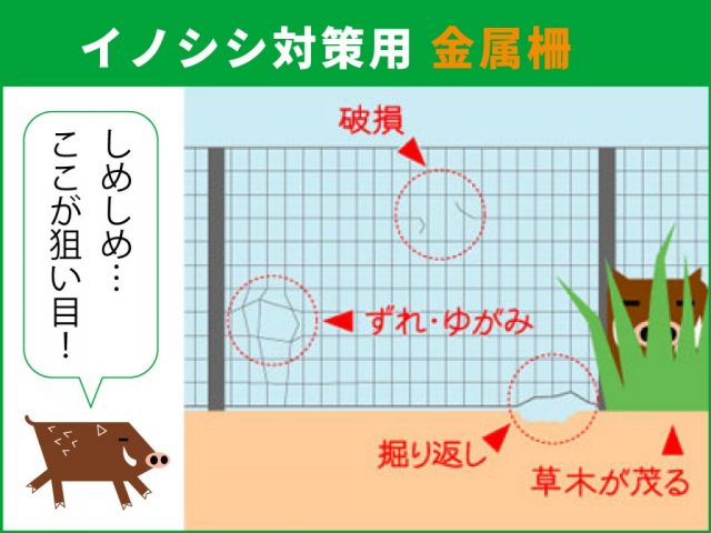 イノシシ対策_耕作地への侵入を防ぐ方法【金属柵】