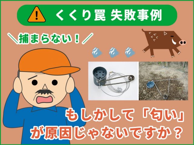 イノシシがくくり罠にかからない？「くくり罠のコツを失敗例を交えて解説」