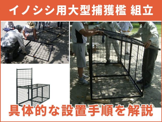 イノシシ捕獲用箱わなの組み立て方について