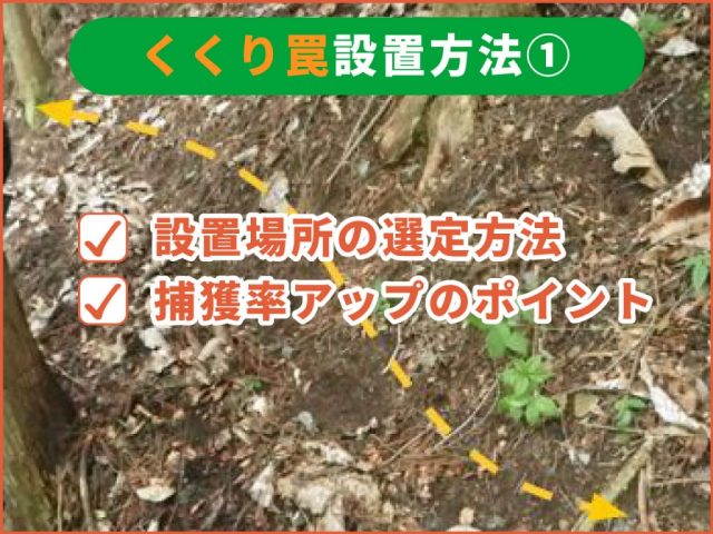 イノシシ足くくり罠の設置方法①～設置場所の選定方法と捕獲率アップのポイント～