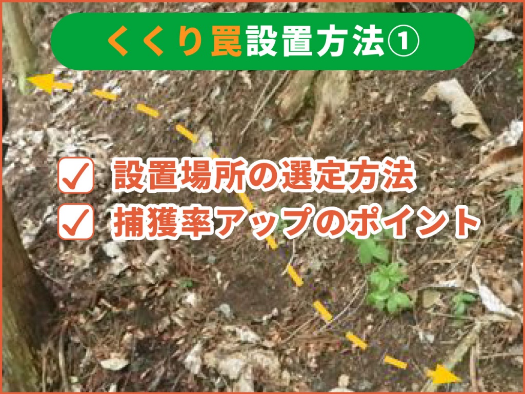 イノシシ足くくり罠の設置方法①～設置場所の選定方法と捕獲率アップのポイント～