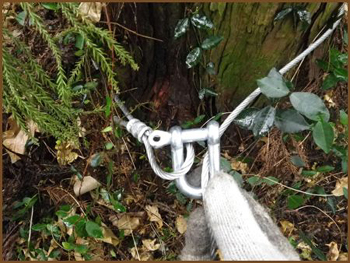 ⑥立木などにワイヤーの端を巻き付けて、シャッフルで固定する