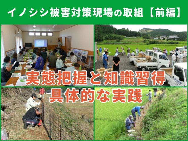 栃木県益子町のイノシシ被害対策の取組　前編／西明寺地区２年間の取り組み