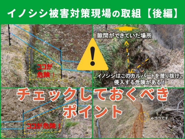 栃木県益子町のイノシシ被害対策の取組（西明寺地区を例として）後編／現地視察