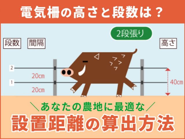 電気柵の距離は？高さは？選び方が分からない方へ～おすすめの電気柵お教えします！