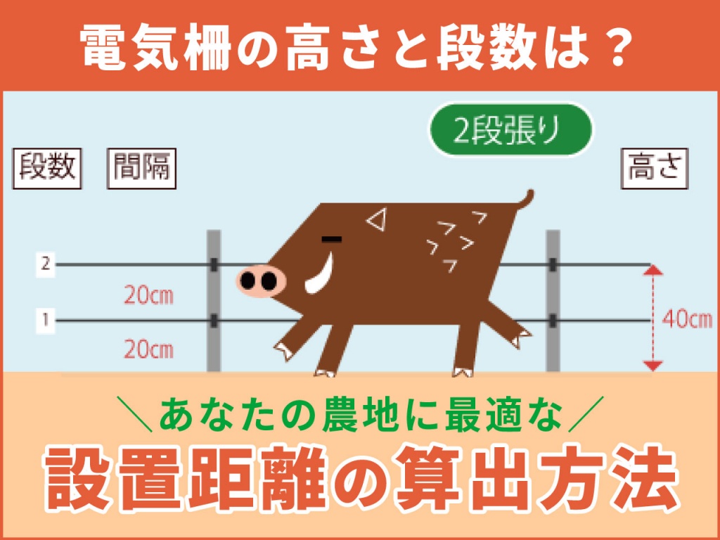 電気柵の距離は？高さは？選び方が分からない方へ～おすすめの電気柵お教えします