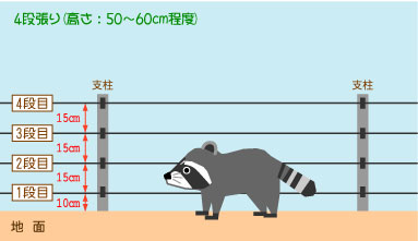 電気柵アライグマ段数