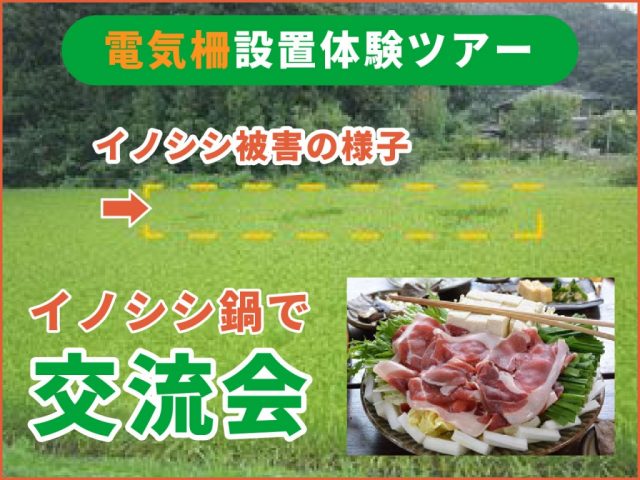 イノシシ対策用の電気柵設置体験「ふるさと体験ツアー」に参加！