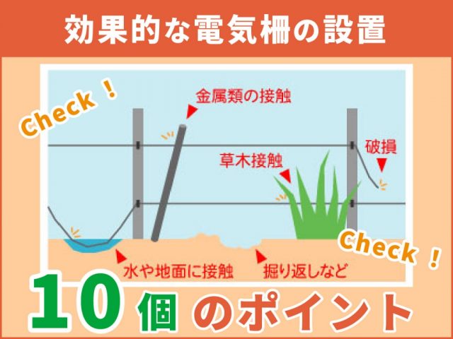 【イノシシ対策用電気柵】効果的な設置方法10のポイントを徹底解説