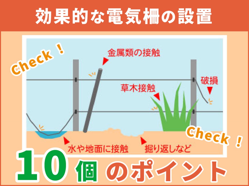 【イノシシ対策用電気柵】効果的な設置方法10のポイントを徹底解説