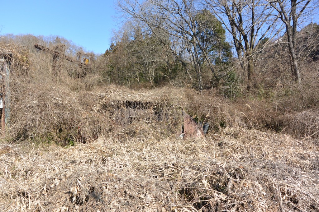 山林や藪に面した農地