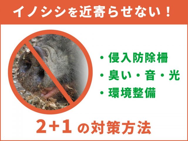 大切な農地にイノシシを近寄らせない対策とは？