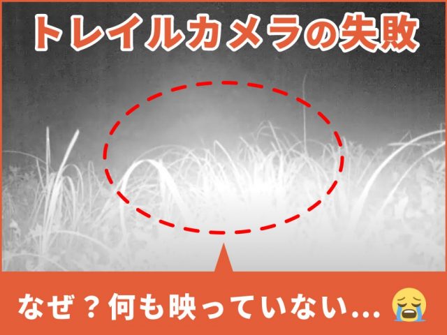 トレイルカメラ設置方法を工夫して「空うち」を減らす～失敗する設置例もご紹介～