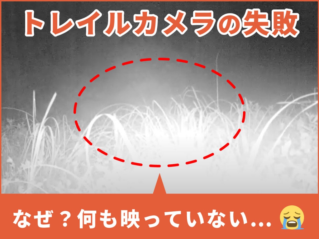 トレイルカメラ設置方法を工夫して「空うち」を減らす～失敗する設置例もご紹介～