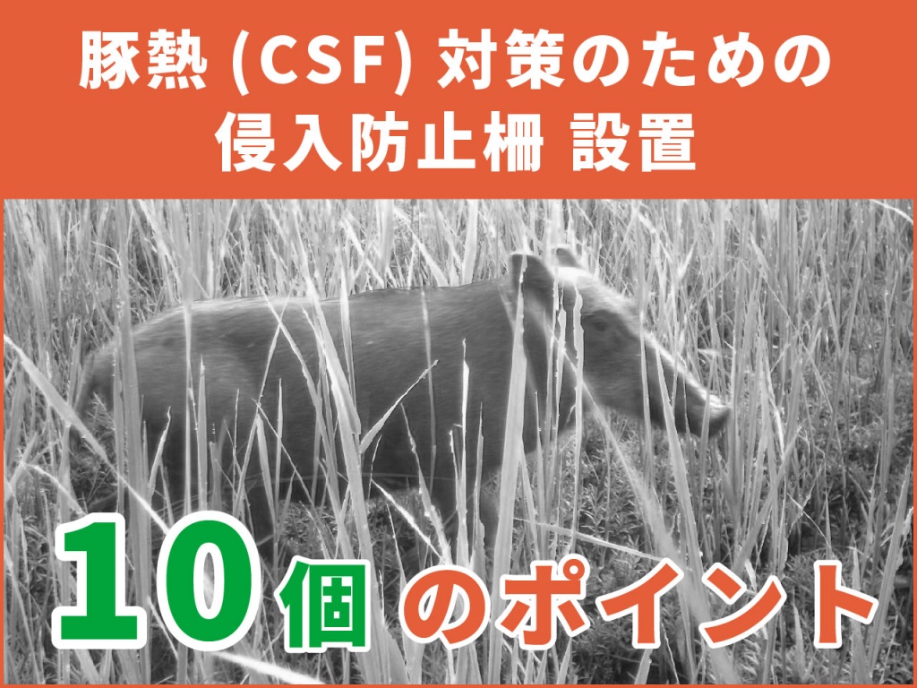 【豚熱(CSF)／イノシシ対策】効果的な防護柵の選び方と設置方法