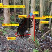 犯行時のイメージ