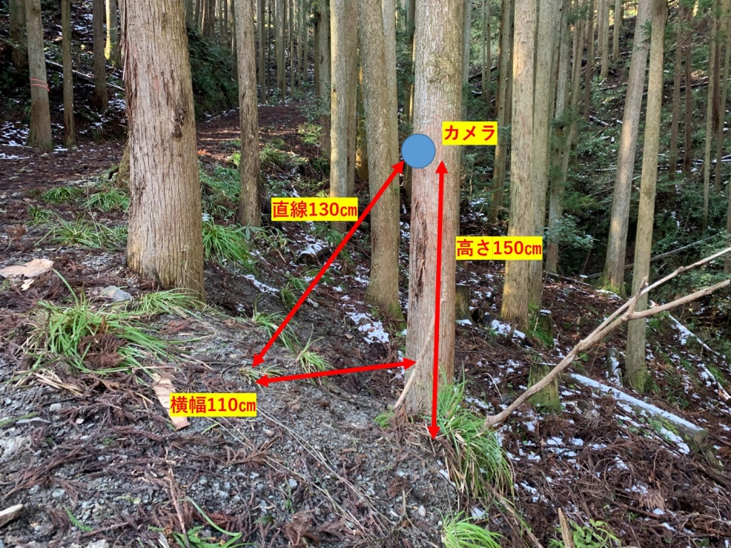 トレイルカメラ設置位置詳細