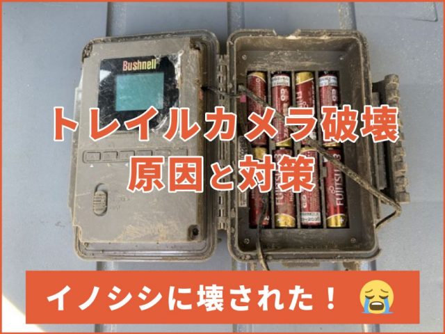 「トレイルカメラを設置したらイノシシに壊された！？」3つの原因と3つの対策