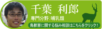 千葉 利朗