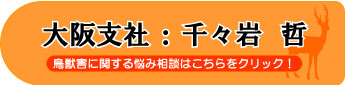 千々岩 哲
