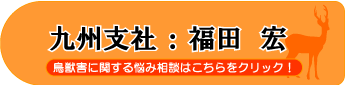 福田 宏