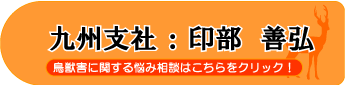 印部 善弘