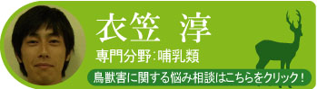 衣笠 淳