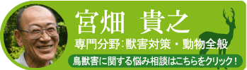 宮畑 貴之
