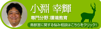 小淵 幸輝