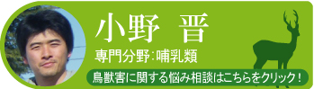 小野 晋