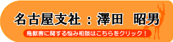 澤田 昭男