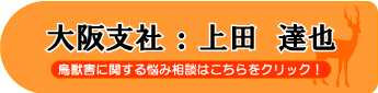 上田 達也
