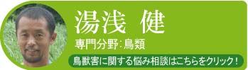 湯浅 健