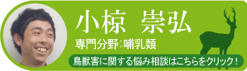 小椋 崇弘