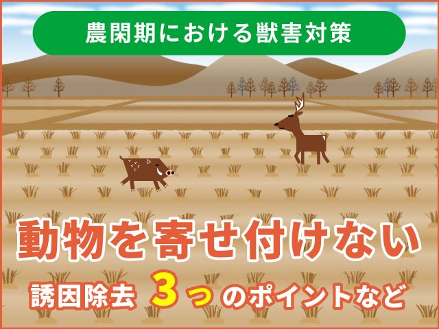 獣害対策／農閑期の到来は、獣類の繁忙期