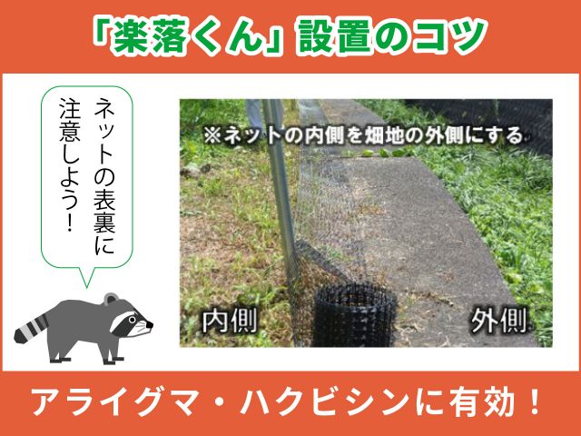 アライグマ・ハクビシン対策に有効な電気柵とは？～地域ぐるみの野生鳥獣被害防止対策研修会（茨城県）」で“楽落くん”の設置方法を学んできました～