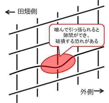 ワイヤーメッシュ設置の向き1