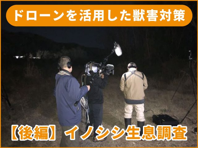 続・イノシシの夜間行動を観察する方法とは？ ～赤外線カメラを搭載したドローンで多摩川の河川敷を探ってみた編～