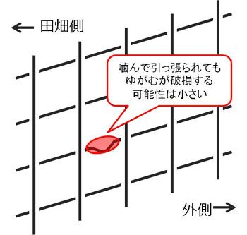 ワイヤーメッシュ設置の向き2