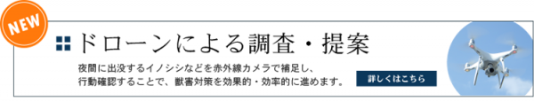 ドローンによる調査・提案