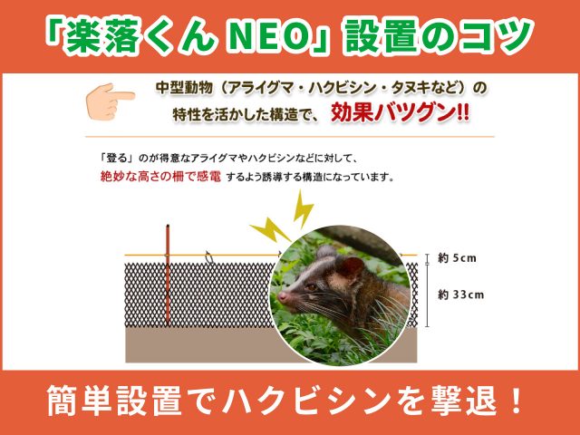 ハクビシンを撃退！簡単設置の複合電気柵【楽落くん】設置のコツ