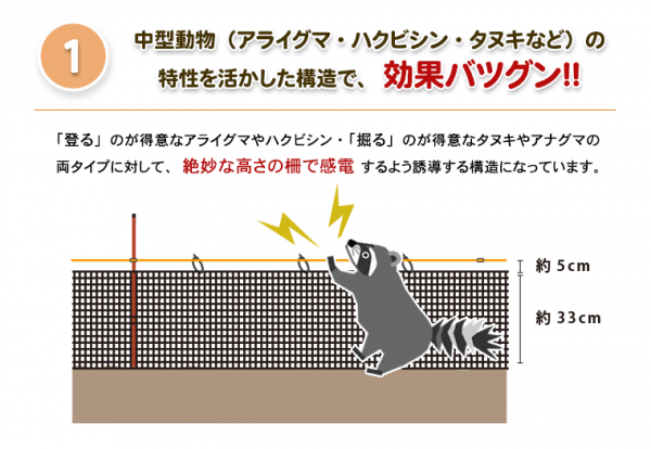 楽落くん