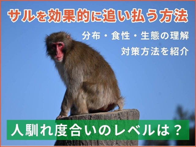 【サル対策】サルを効果的に追い払う！対策方法を紹介